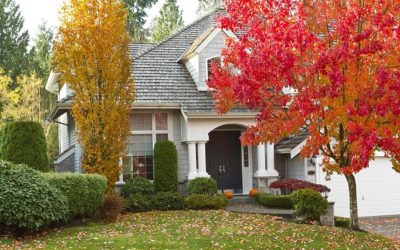 4 Ways to Use Landscaping to Increase Your Home’s Energy Efficiency
