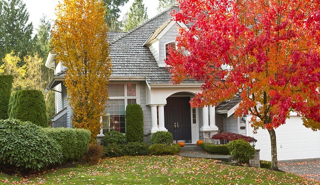 4 Ways to Use Landscaping to Increase Your Home’s Energy Efficiency