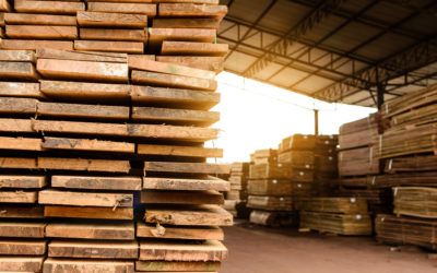 Will Lumber Prices Increase in 2022?