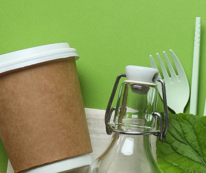 5 Eco-Friendly Kitchen Updates That Save Energy and Reduce Water Waste